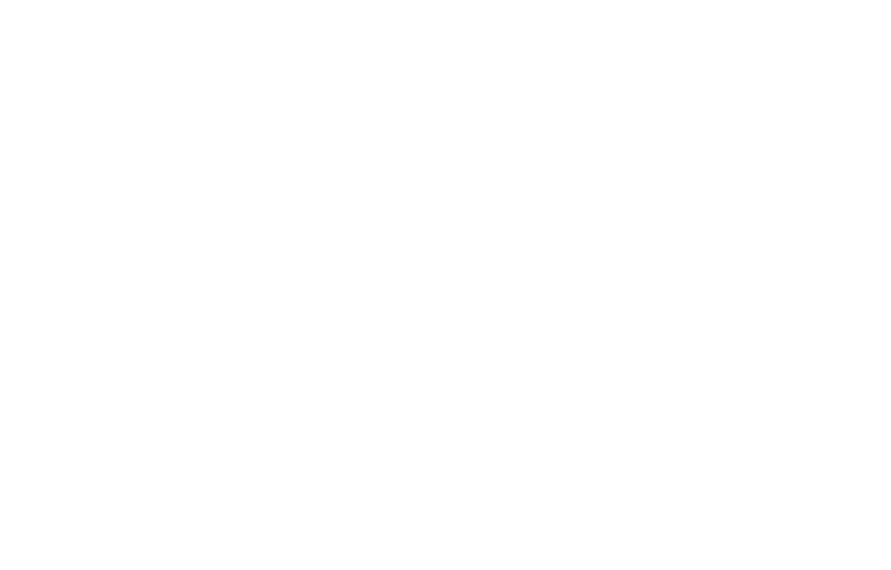Client Logo 13