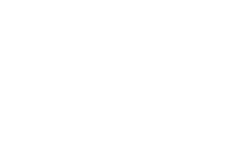 COLLEGE VIDYA