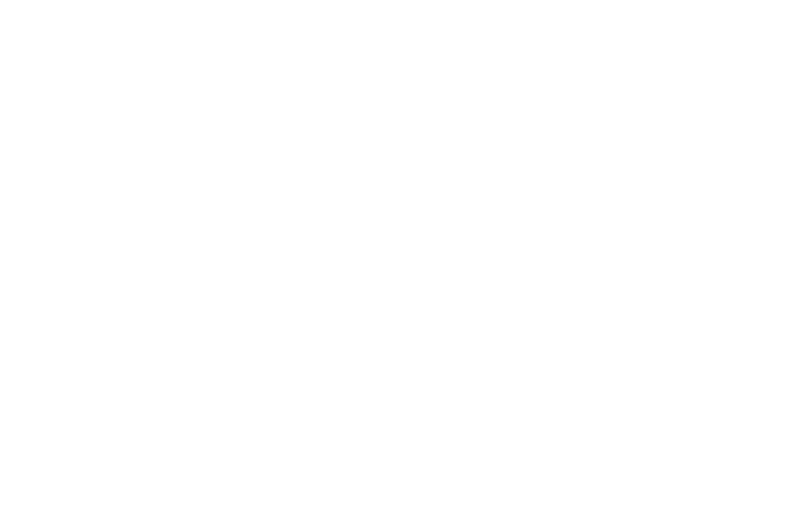 VIVEL